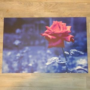 Canvas photography